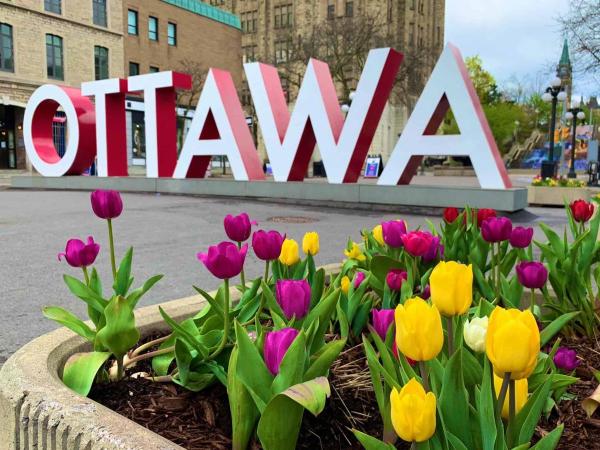The Captivating Colors of Ottawas Tulip Festival