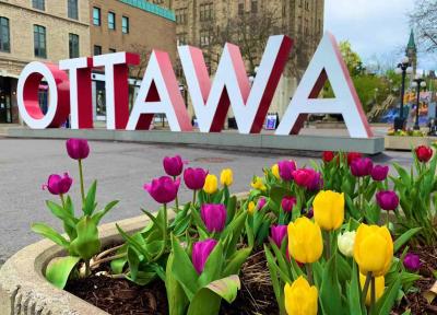 The Captivating Colors of Ottawas Tulip Festival