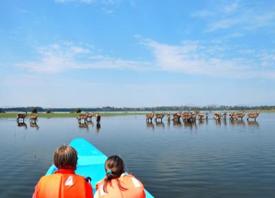 Exploring Lake Naivasha: A Comprehensive Guide