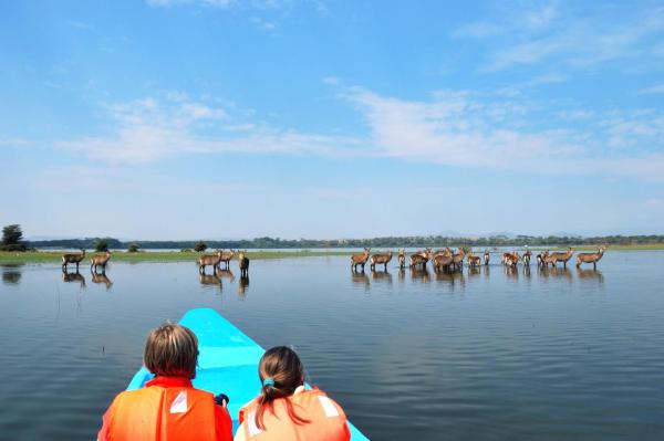 Exploring Lake Naivasha: A Comprehensive Guide