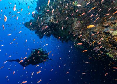 Dahab: A Divers Paradise and a Conservation Challenge